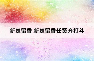 新楚留香 新楚留香任贤齐打斗